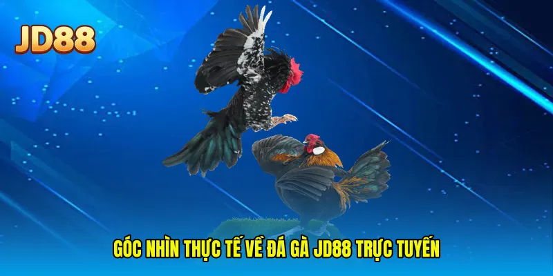 Góc nhìn thực tế về đá gà JD88 trực tuyến